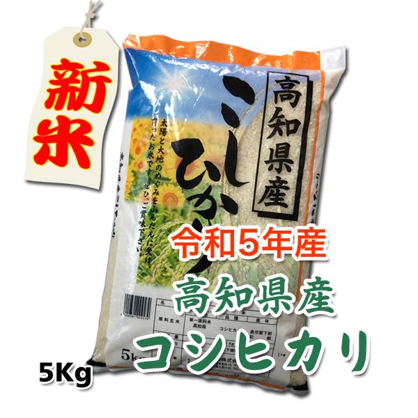 令和5年産 高知県産 コシヒカリ 5Kg 白米