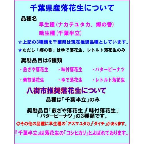 未調理なま落花生(ナカテユタカ) 二等500g 千葉県八街産落花生