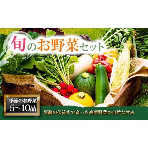 ふるさと納税 熊本県 阿蘇市 ＜畑から直送＞季節のお野菜セット