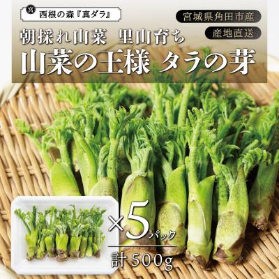 ふるさと納税 角田市 [宮城県角田市産]産地直送 朝採れ山菜 タラの芽 500g