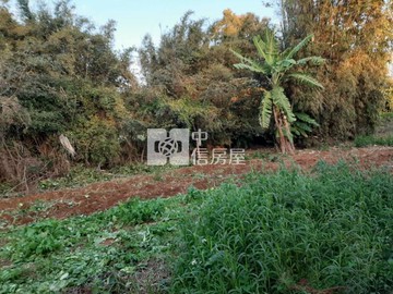 （專委）新屋10米路農地附農舍｜桃園市新屋區蚵殼港段蚵殼港小段