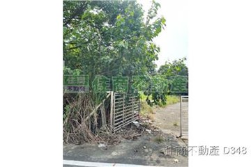 新市潭頂黃金建地｜台南市新市區月潭段​