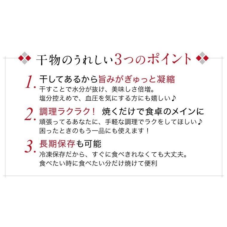 特大 サバ 干物 1尾 巨大 キング さば 鯖 干物セット 真空パック 一夜干し 一夜干し魚 一夜干しセット ((冷凍))