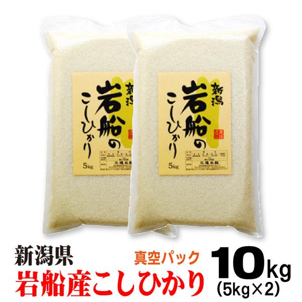 米 岩船産 コシヒカリ 5ｋｇ×2 真空パック こしひかり