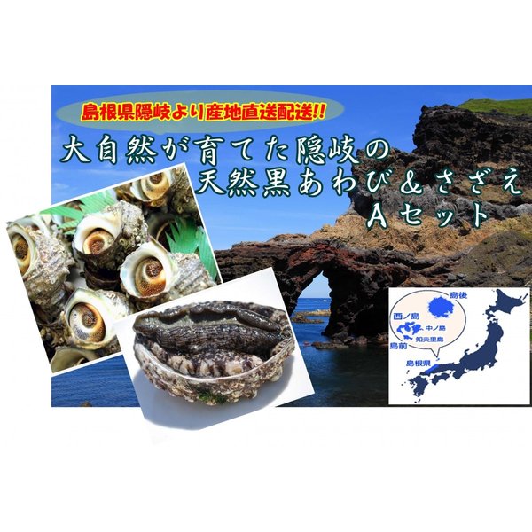 [予約 2023年12月20日-12月31日の納品] 天然活あわび・さざえＡセット 島根県隠岐より直送 アワビ黒１kg さざえ２kgセット 黒鮑 産地直送