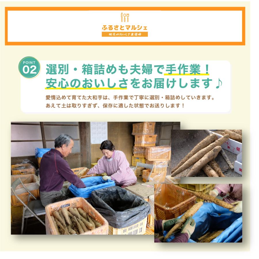 ご自宅用 大和芋 ヤマトイモ  5本 約 0.9Kg 贈答用にも 群馬県産 送料無料