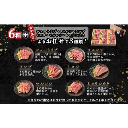 ふるさと納税 宮崎牛焼肉食べ比べ9種盛_32-3101_(都城市) 都城産 宮崎牛 A4ランク 焼肉 セット 肩ロース カルビ ザブトン 内モモ サーロイン イ.. 宮崎県都城市