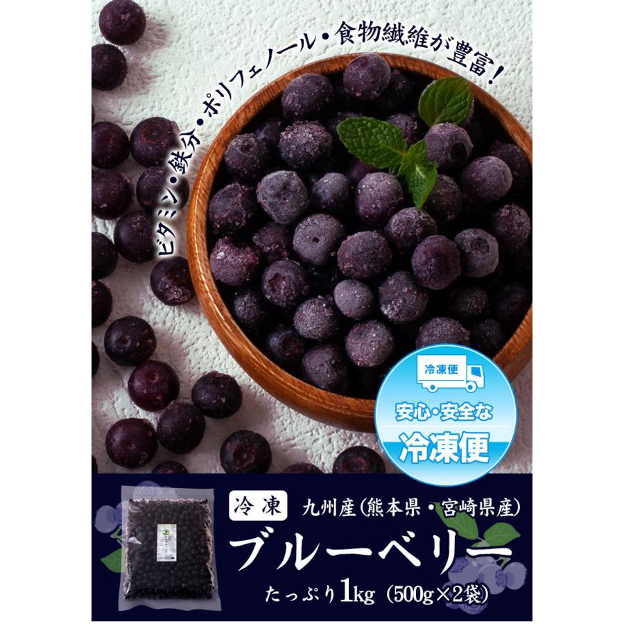 冷凍ブルーベリー 1kg 500g×2袋 送料無料 九州産 冷凍 ブルーベリー サイズ不選別 フルーツ 果物 取り寄せ 通販 7-14営業日以内に出荷予定(土日祝日除く)