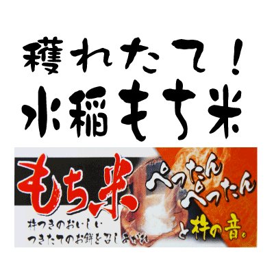 令和5年も穫れたてピカピカ 小江戸 もち米 白米 5kg