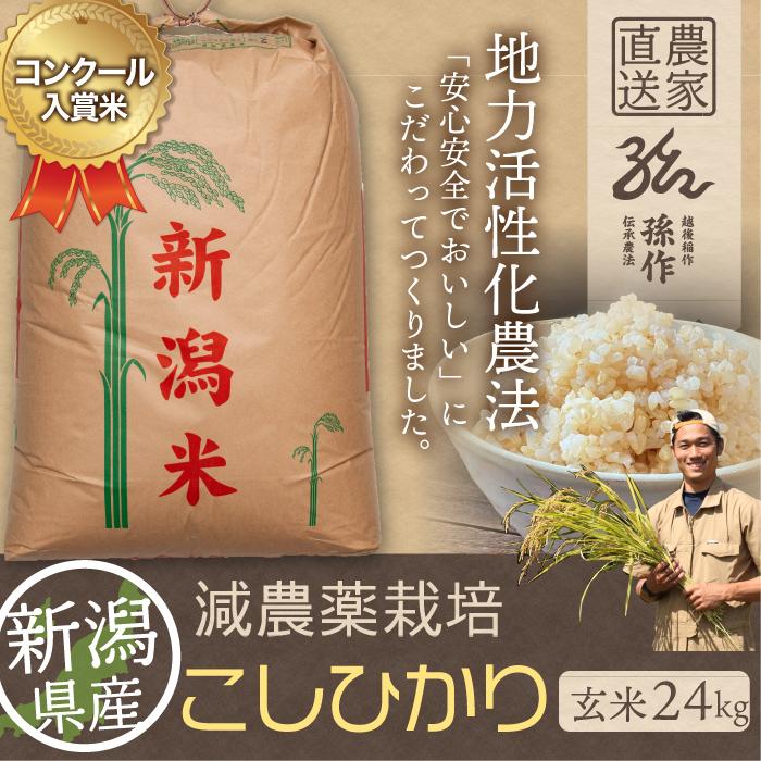 玄米 新潟県産 コシヒカリ 特別栽培米 24kg 令和5年産 新米 こしひかり 24キロ 農家直送 減農薬