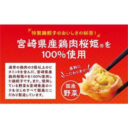 ふるさと納税 悠瑠里特製餃子60個鶏餃子60個 食べ比べセット 餃子 ぎょうざ 惣菜 宮崎県宮崎市