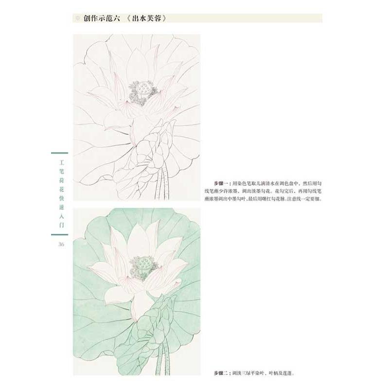 工筆蓮花快速入門　一週一画　水墨画技法　中国絵画 工#31508;荷花快速入#38376;　一周一画