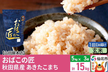 令和5年産 仙北市産 おばこの匠 15kg秋田県産あきたこまち