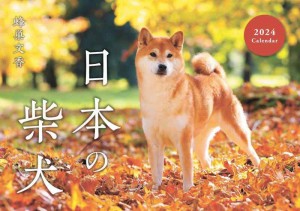 日本の柴犬カレンダー2024（壁掛け） ([カレンダー])