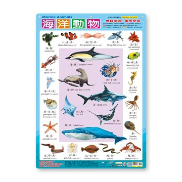 89 - 幼兒學習掛圖：海洋動物 B2461-1