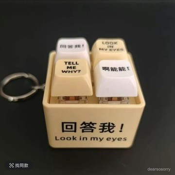 ⚡臺灣爆品⚡衕款解壓玩具迴答我語音鍵盤按鈕掛件Tell me why why青貯袋 GZEI