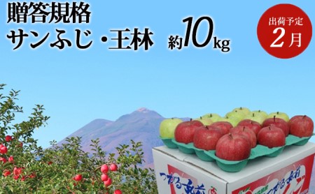 2月発送 贈答用 サンふじ・王林約10kg　