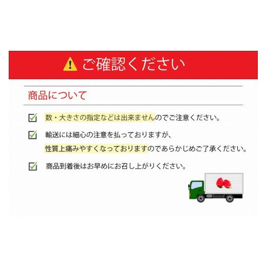 ふるさと納税 福岡県 久留米市 福岡県産 あまおう 1120g(280g×4パック) 2024年2月より順次発送