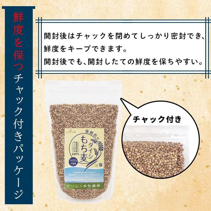 もち麦 国産 ダイシモチ 佐賀県産100% 紫紺色のダイシもち麦 1600g（1.6kg） リフ工房 もちむぎ 国産 もち 麦 麦飯 麦ごは