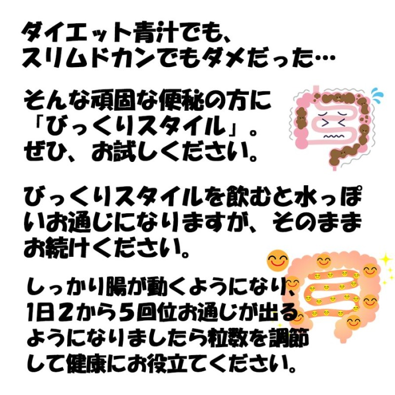 送料無料 まるかん スリムドカン ＆ びっくりスタイル !!加工食品 - その他