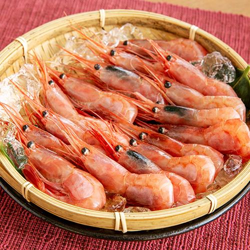 糸魚川産 南蛮エビ 500g えび 海老 煌凛丸 のし無料 送料無料