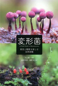 変形菌 発見と観察を楽しむ自然図鑑 川上新一 新井文彦 高野丈