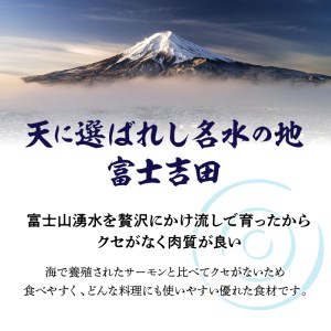 キングサーモン×ニジマス「富士の介」刺身用 サク