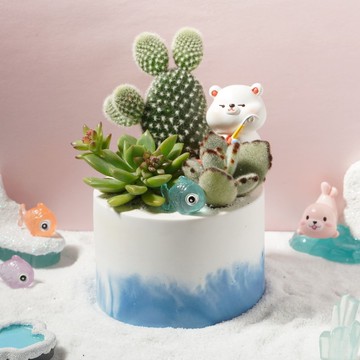 企業手作課程 | 環保牡蠣殼粉多肉盆栽製作&組盆 | ESG SDGs 手作