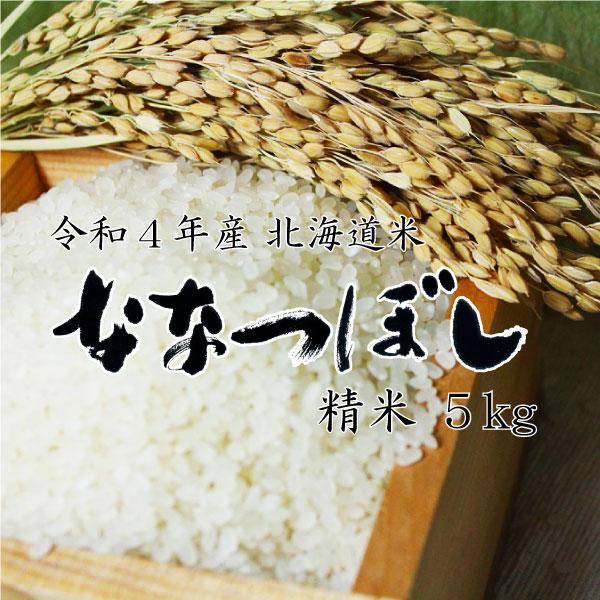 新米 米5kg お米 北海道米 ななつぼし 白米 5kg 令和５年産 送料無料