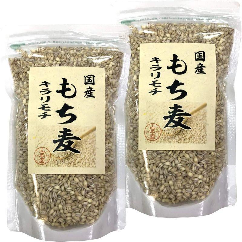 国産もち麦 キラリモチ 500g×2袋セット 巣鴨のお茶屋さん 山年園