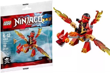 Lego 樂高 NINJAGO 30422