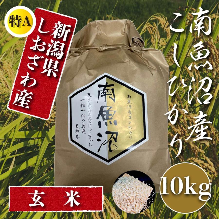  米  10kg 新潟 南魚沼 塩沢産 コシヒカリ 生産者限定米 令和5年産