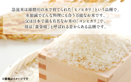 熊本県産 球磨川急流米 ヒノヒカリ 5kg×4袋 合計20kg