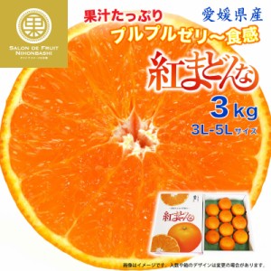 [予約 12月1日から12月10日の納品] 紅まどんな 3kg 3L-5L 愛媛県 化粧箱 冬ギフト お歳暮 御歳暮