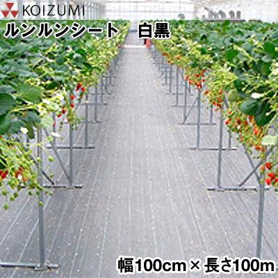 KOIZUMI (小泉製麻)　防草シート　ルンルンシート　白黒　幅100cm×長さ100m