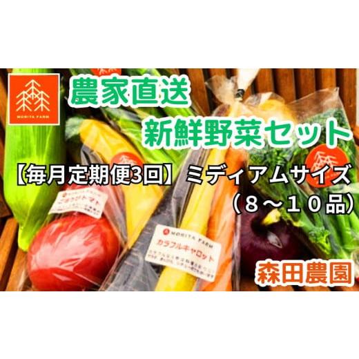 ふるさと納税 千葉県 流山市 農家直送新鮮野菜セット（ミディアム）８〜１０品