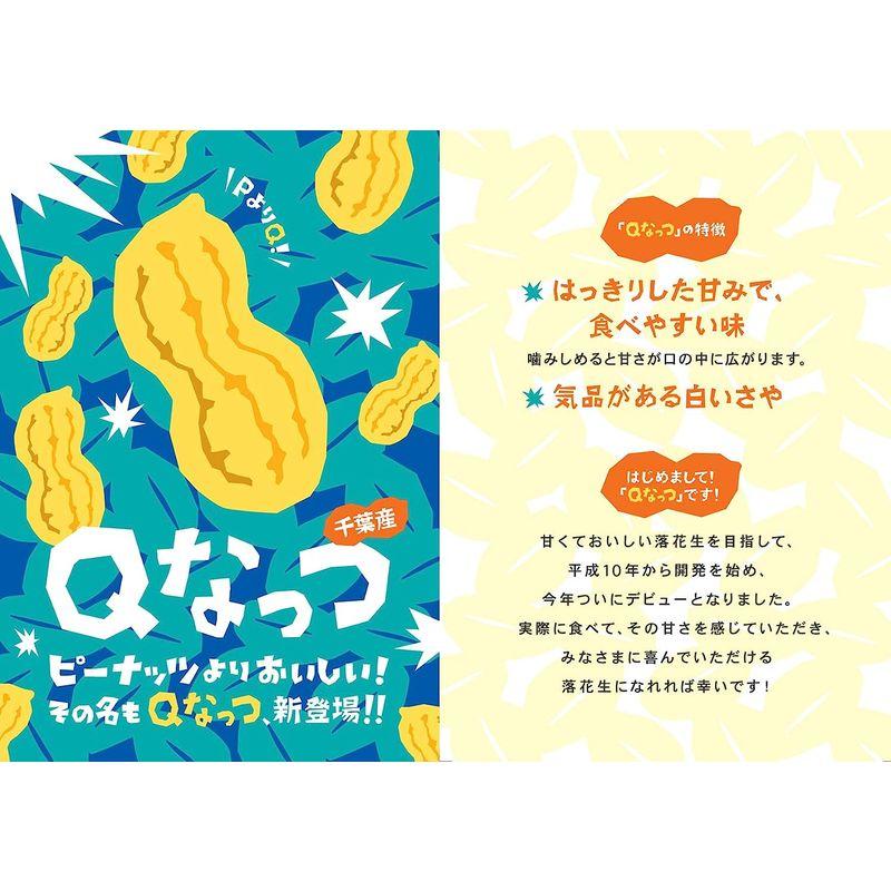 ヤマハン さや煎り落花生 千葉県産Qなっつ 500ｇ 令和4年産新豆 から付 落花生 焙煎済