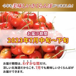 ふるさと納税  先行受付 2024年7月から出荷 北海道 仁木町産 サクランボ 紅秀峰 1.2kg 厳選品  松山商店 北海道仁木町