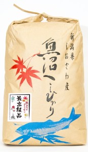 最高級品 白米５kgクラフト袋　令和５年産新米　南魚沼産コシヒカリしおざわ米　送料無料　御歳暮・御年賀　贈物　熨斗　プレミアムライ