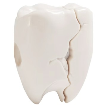 Koios LATMOS 耳機保護殼 Airpods Pro適用 1/2 裂牙  乳白色  1個  單一商品