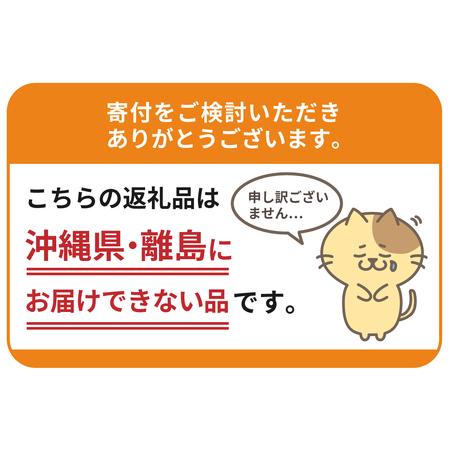 ふるさと納税 牛肉 切り落とし  600g 群馬県 産 千代田町 群馬県千代田町