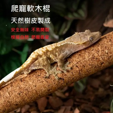 陸龜驛站｜攀爬木 攀爬棒 攀爬棍 爬寵軟木棍 兩棲雨林造景 休息 樹棲爬寵 睫角守宮 巨人守宮 蓋勾亞 樹蛙