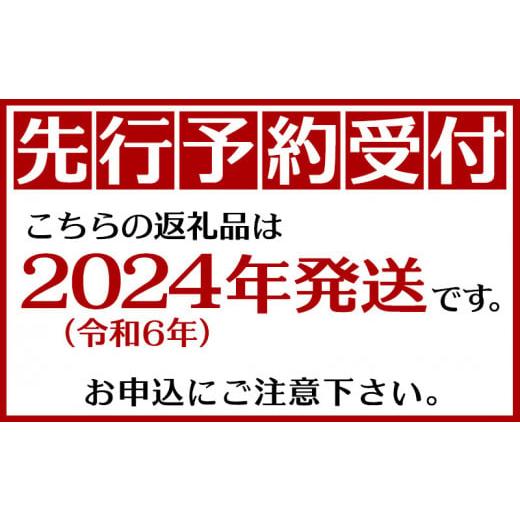 ふるさと納税 沖縄県 糸満市 縁sファームのアップルマンゴー2kg（秀品）