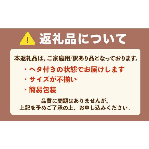 ふるさと納税 福岡県 篠栗町 MZ027 冷凍あまおう 2kg（1kg×2） いちご 果物 フルーツ