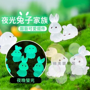 夜光兔子微景觀【台灣現貨】兔子公仔 夜光微景觀 夜光兔子 花盆裝飾 兔子擺件 盆栽微景觀 花盆擺件 盆栽擺件