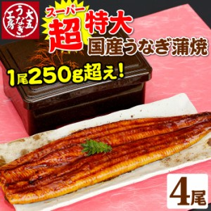 超特大うなぎ蒲焼 250g以上×4尾セット（8～12人前） ご自宅用 土用の丑の日 丑の日 国産うなぎ 蒲焼 蒲焼き 冷凍 送料無料