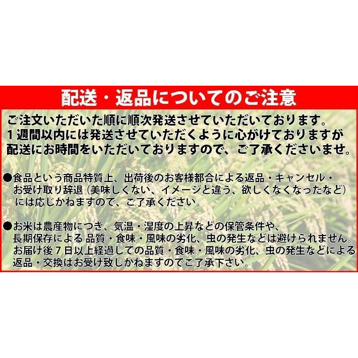 コシヒカリ発祥の地　北陸・福井県産こしひかり（水仙）10kg　送料無料(北海道、沖縄、離島別途