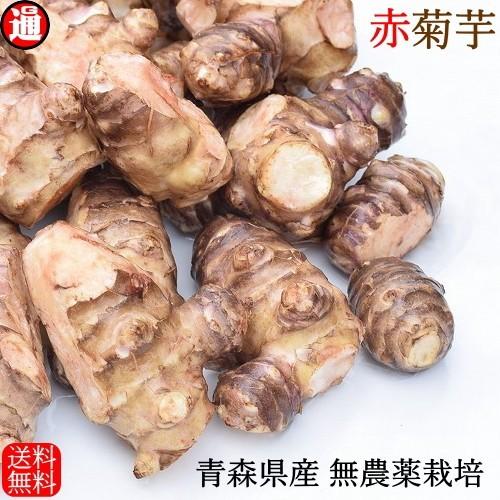 赤菊芋 菊芋 1kg 送料無料 無農薬栽培 化学肥料不使用 洗浄済み 訳あり 不揃い 青森県産 生菊芋 きくいも キクイモ 堀りたて イヌリン