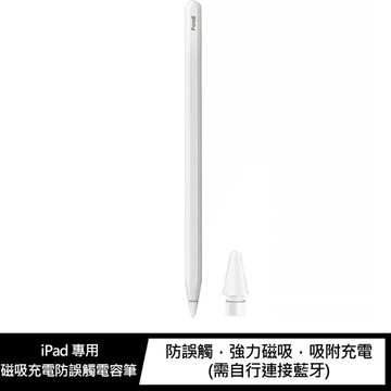 AOYi iPad 專用磁吸充電防誤觸電容筆