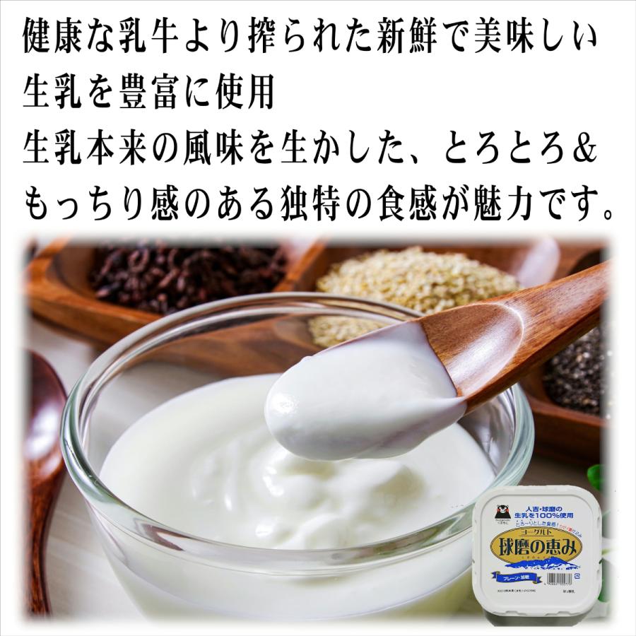 球磨酪農　球磨の恵ヨーグルト無糖１ｋ×1個　加糖１ｋ×1個　計2個　送料無料　人吉球磨　球磨の恵み